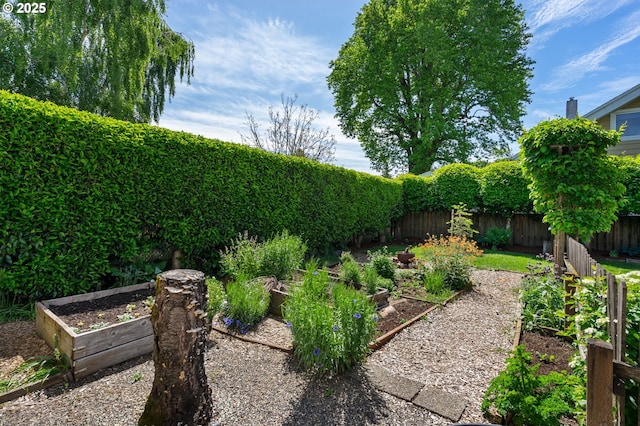 fenced backyard featuring a garden