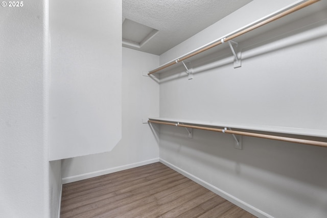 walk in closet featuring wood-type flooring