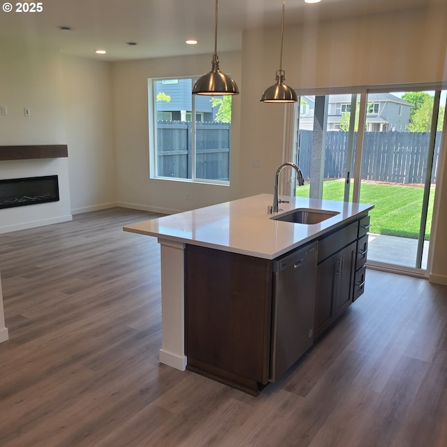 kitchen featuring a sink, stainless steel dishwasher, dark wood-style flooring, and a healthy amount of sunlight