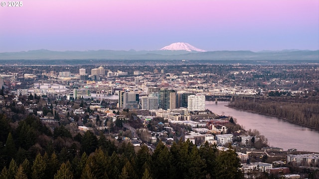 view of city featuring a mountain view