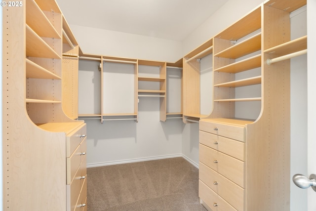 walk in closet featuring dark colored carpet