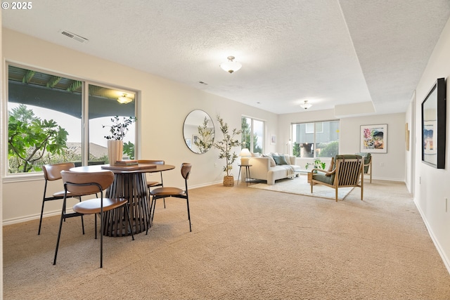 interior space with light colored carpet and a textured ceiling