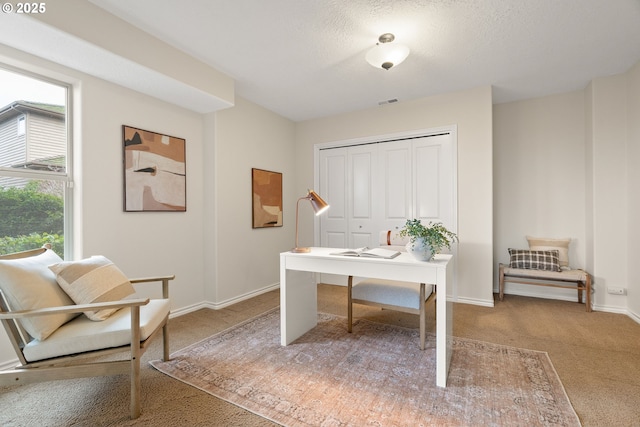 carpeted office space with a textured ceiling