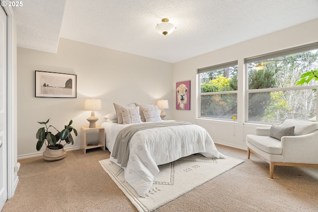 bedroom with carpet and a textured ceiling