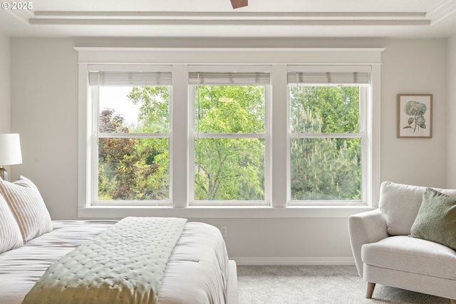 10540 SW Lancaster Rd, Portland, OR 97219 - carpeted bedroom featuring multiple windows and baseboards