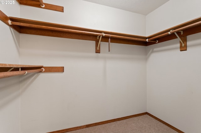 10315 SW 28th Ave, Portland, OR 97219 - spacious closet with carpet floors