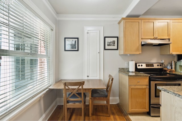 1509 NE 10th Ave Unit 105, Portland, OR 97232 - kitchen with stainless steel electric range, under cabinet range hood, light wood-style flooring, light brown cabinets, and stone counters