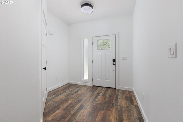 foyer with dark wood-type flooring and a healthy amount of sunlight