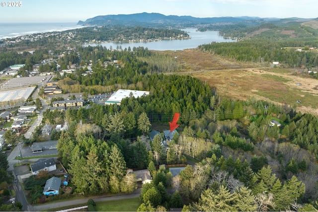 birds eye view of property with a water and mountain view