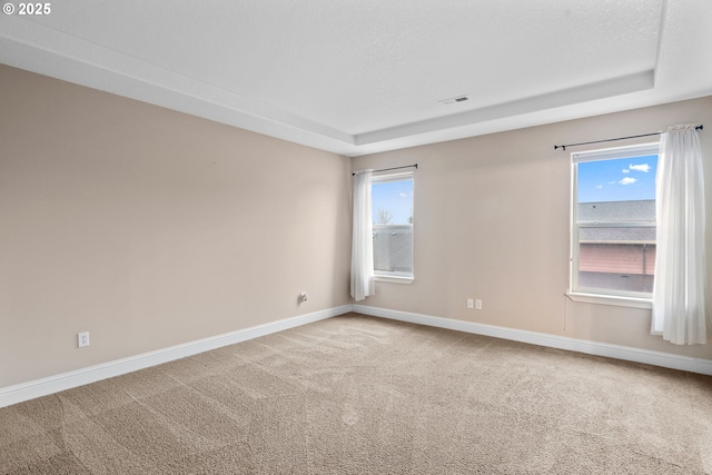 carpeted empty room featuring a raised ceiling