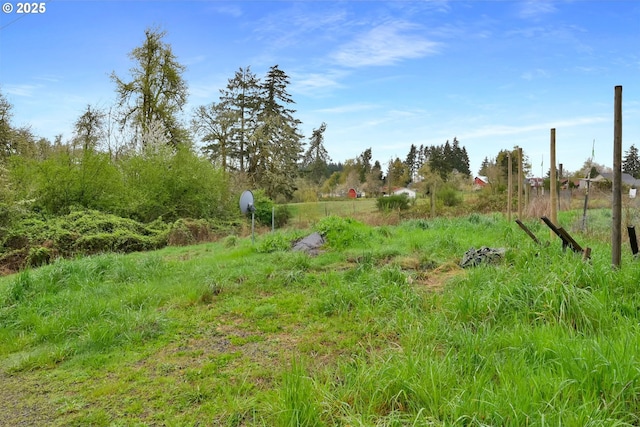80388 Territorial Hwy, Eugene, OR 97405 - view of yard