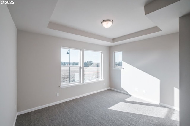 unfurnished room with carpet flooring and a raised ceiling