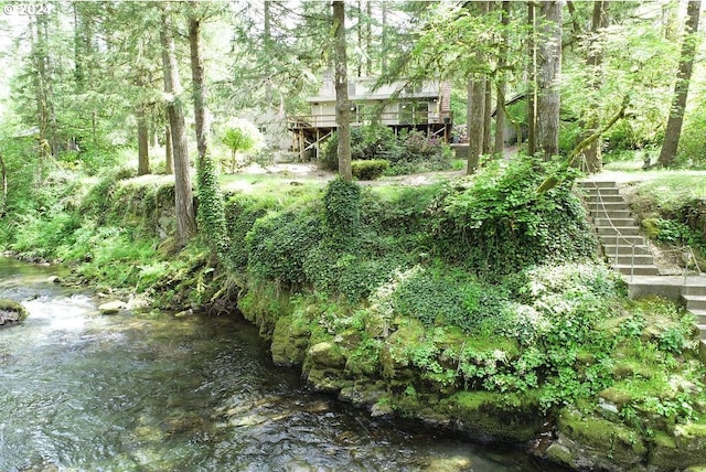 view of local wilderness with a view of trees