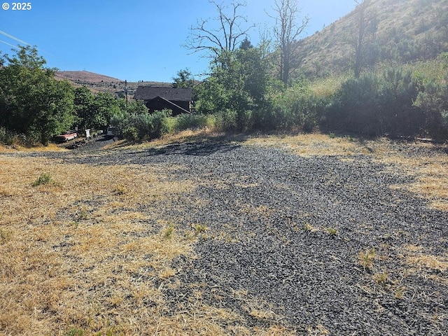 view of yard featuring a mountain view