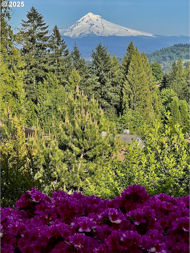 50 SE Avondale Ct, Gresham, OR 97080 - view of mountain background featuring a heavily wooded area