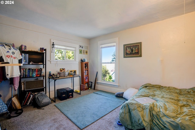 bedroom featuring carpet