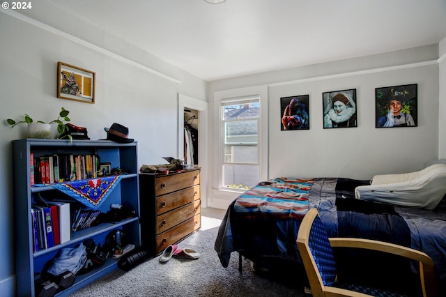 view of carpeted bedroom