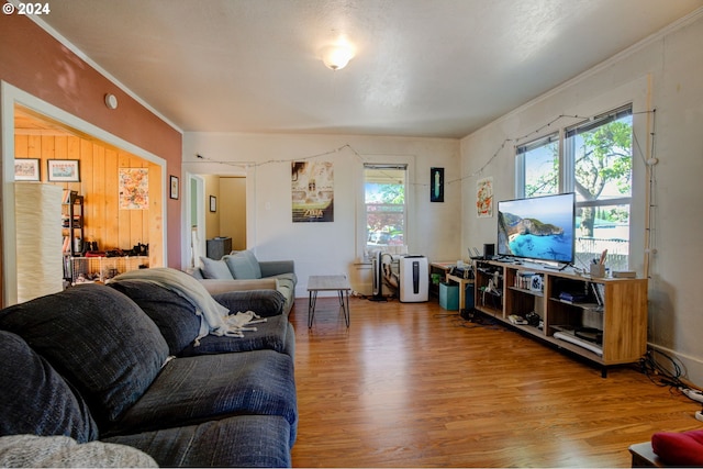 living area with wood finished floors and crown molding