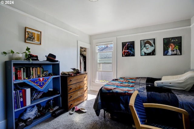 carpeted bedroom with a closet