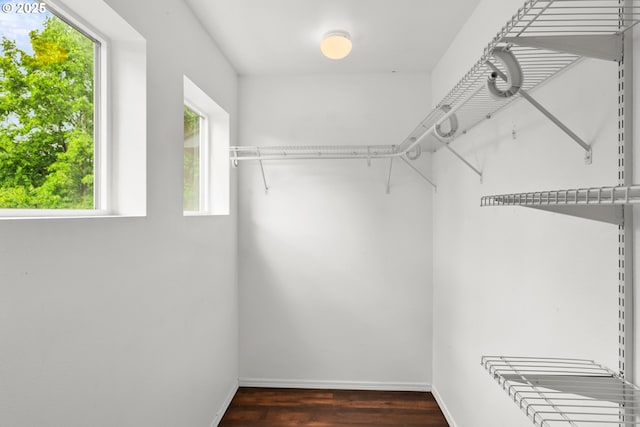 walk in closet featuring dark wood finished floors