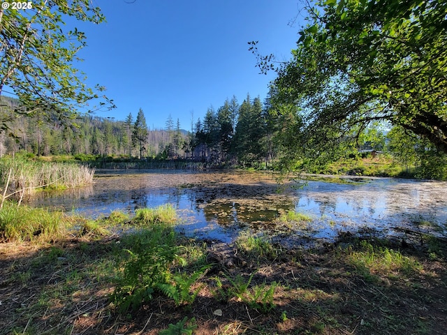 54432 Mckenzie Hwy Unit 18, Blue River, OR 97413