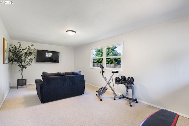 18344 Terry Ave, Lake Oswego, OR 97035 - workout area featuring carpet flooring and baseboards