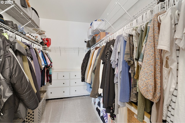 595 Springtree Ln, West Linn, OR 97068 - walk in closet with light colored carpet