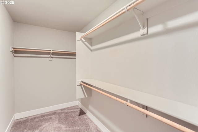 walk in closet featuring carpet floors