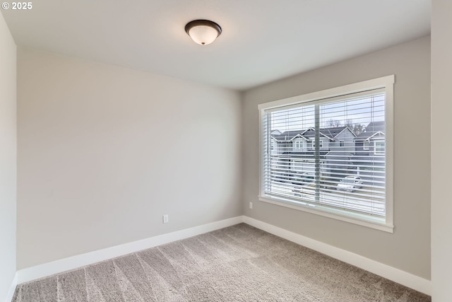 spare room featuring carpet