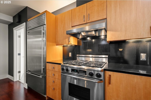 kitchen featuring decorative backsplash, dark hardwood / wood-style floors, stainless steel appliances, and exhaust hood