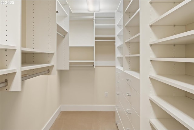 view of walk in closet