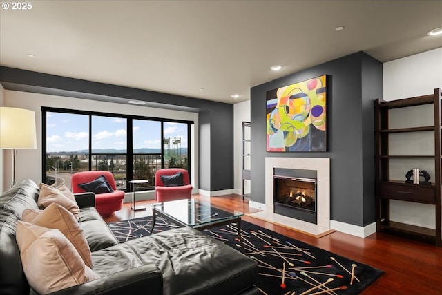 living room with dark hardwood / wood-style floors