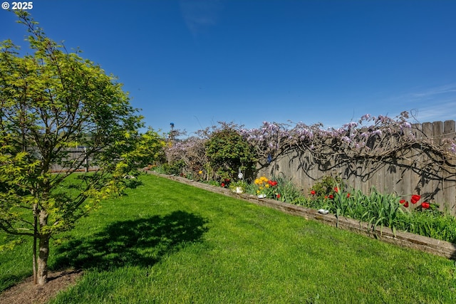 788 SE Meadows Loop, Sheridan, OR 97378 - view of yard