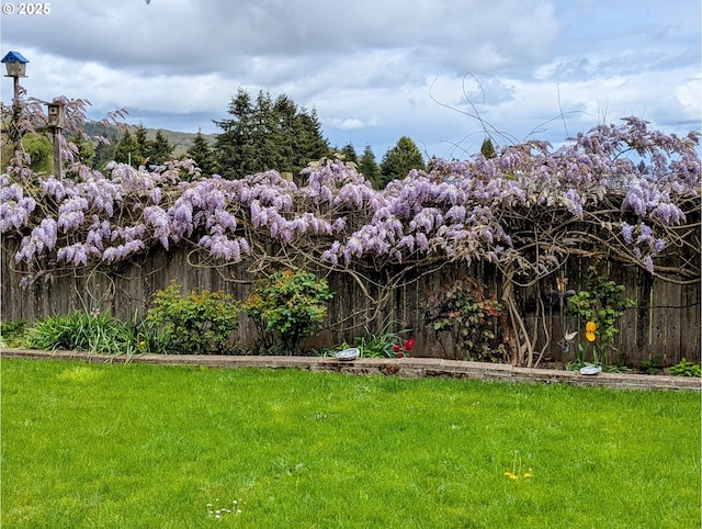 788 SE Meadows Loop, Sheridan, OR 97378 - view of yard