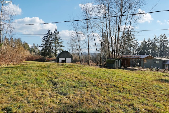 view of yard featuring a storage unit