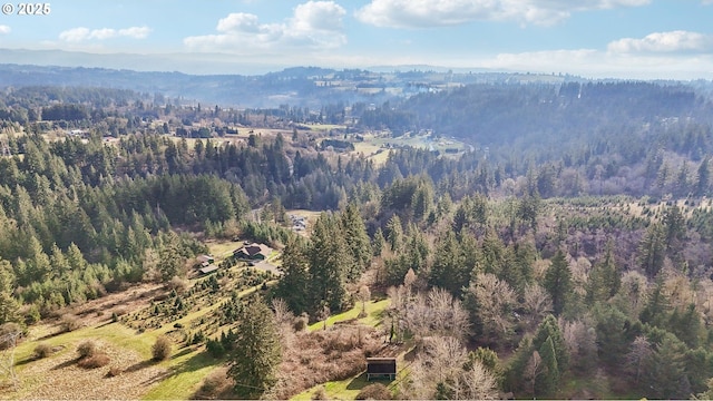 birds eye view of property featuring a mountain view