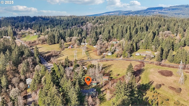 aerial view with a mountain view