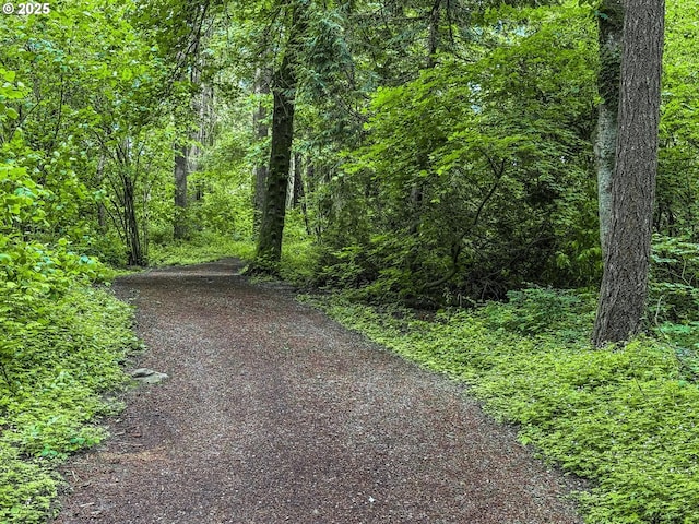 1220 NE 196th Ave, Portland, OR 97230 - view of street with a wooded view