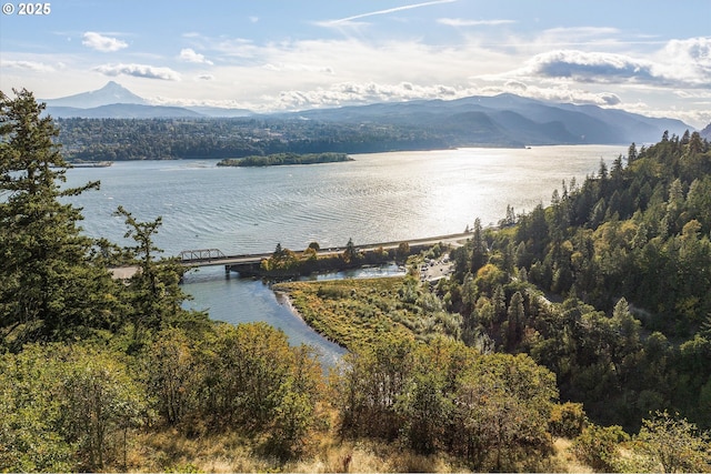 248 Sterling Blvd, White Salmon, WA 98672