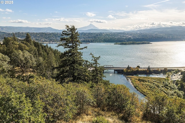 248 Sterling Blvd, White Salmon, WA 98672