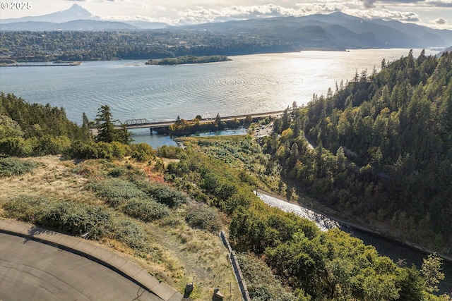 248 Sterling Blvd, White Salmon, WA 98672