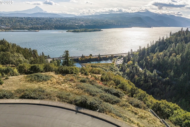 248 Sterling Blvd, White Salmon, WA 98672