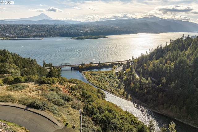 248 Sterling Blvd, White Salmon, WA 98672