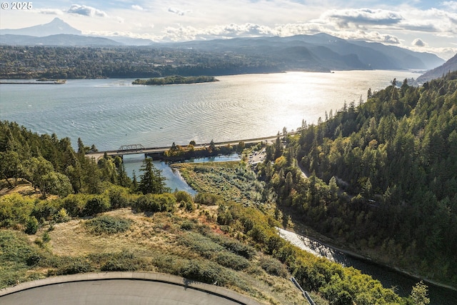 248 Sterling Blvd, White Salmon, WA 98672