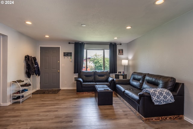 living room featuring hardwood / wood-style flooring