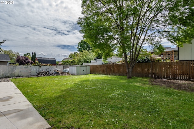 view of yard featuring a storage shed