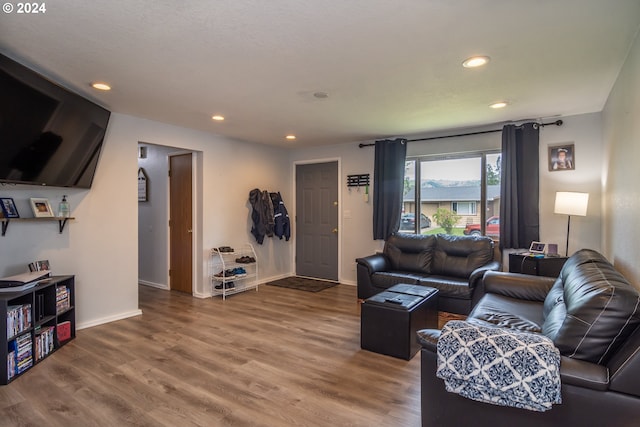 living room featuring wood-type flooring