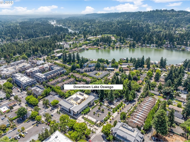 48 Eagle Crest Dr Unit 3D, Lake Oswego, OR 97035 - aerial view of a large body of water