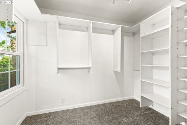 2338 NE 137th Ave, Portland, OR 97230 - walk in closet featuring dark colored carpet