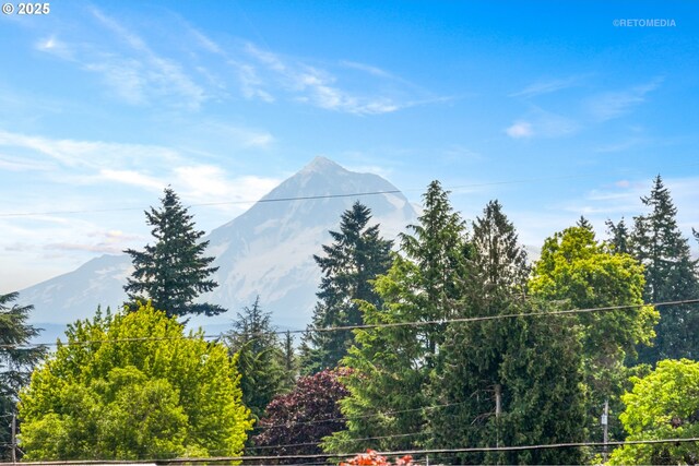 2338 NE 137th Ave, Portland, OR 97230 - mountain view